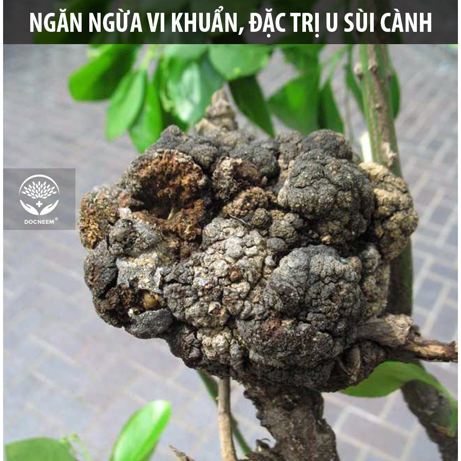 Nano Bạc DOCNEEM nguyên chất Diệt sạch nấm bệnh, vi khuẩn, virus hoa hồng, hoa lan, thương hiệu Docneem, chai 500ml