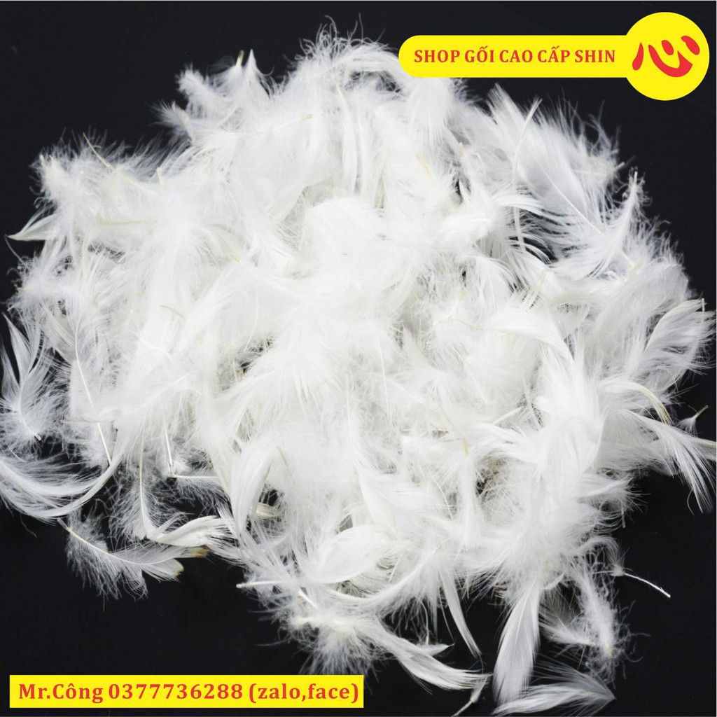 Ruột gối lông vũ tự nhiên feather hiệu laube size 50x70cm hàng chính hãng Nhật Bản