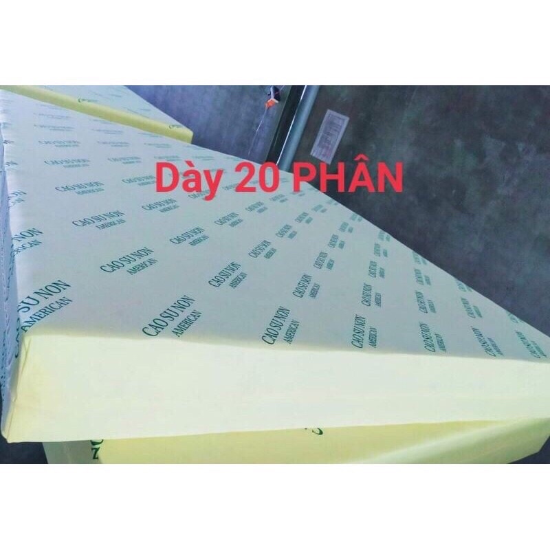Nệm cao su non american - đủ size - freeship hcm