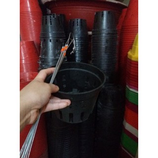 Combo 50 cái chậu trồng lan kèm móc phi 18cm