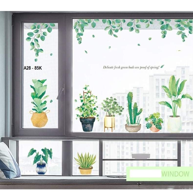 decal dán tường chậu cây