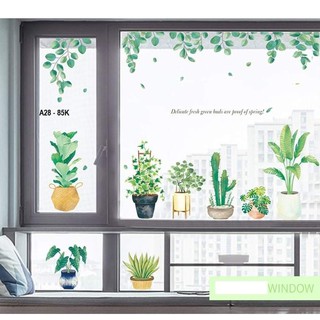 Decal dán tường chậu cây