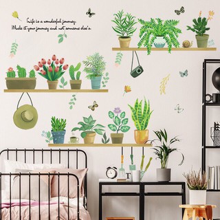 Decal dán tường Hàn Quốc mẫu chậu cành cây mẫu 05