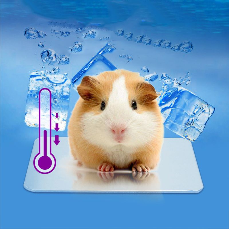 Tấm Làm Mát Bằng Nhôm Cho Chuột Hamster/Thỏ/Thú Cưng