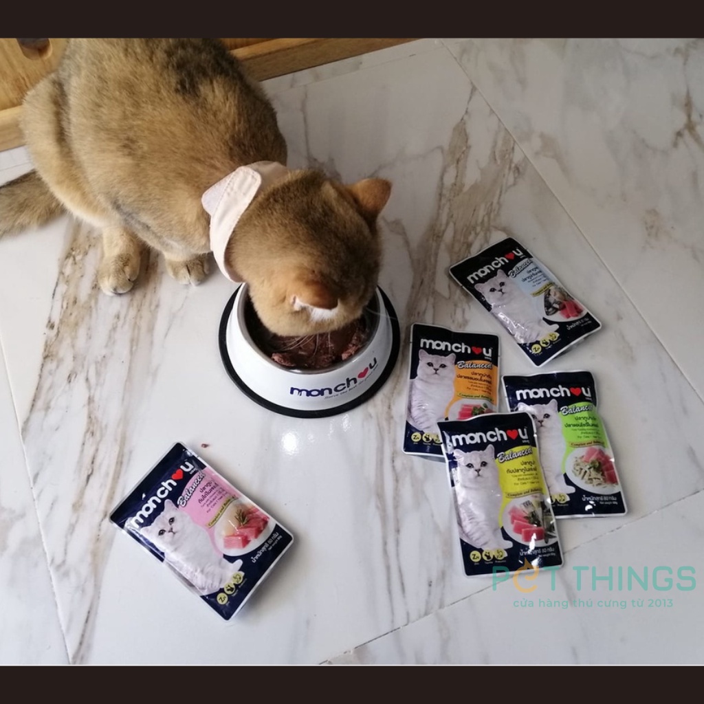 Thức ăn ướt / pate cho mèo Monchou Balanced 80g
