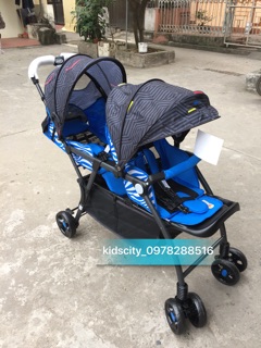Xe đẩy đôi du lịch cao cấp (loại 1)