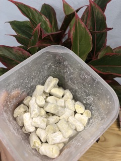 Combo 1 vỉ 10 ống vani thơm