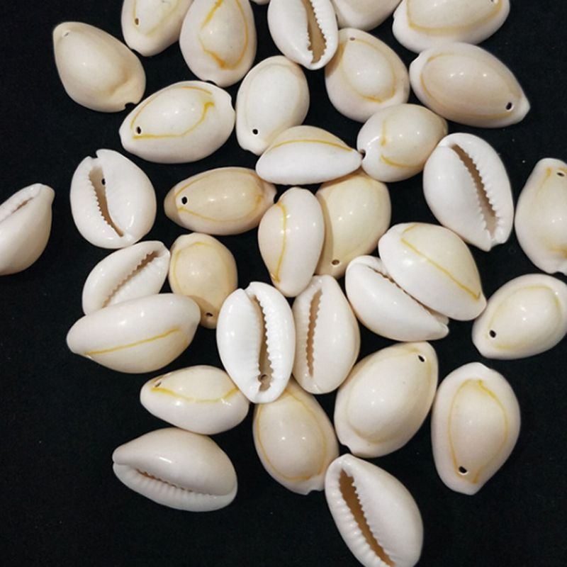 50pcs Shell Beads For Women Jewelry Bracelet Earring Making dbv