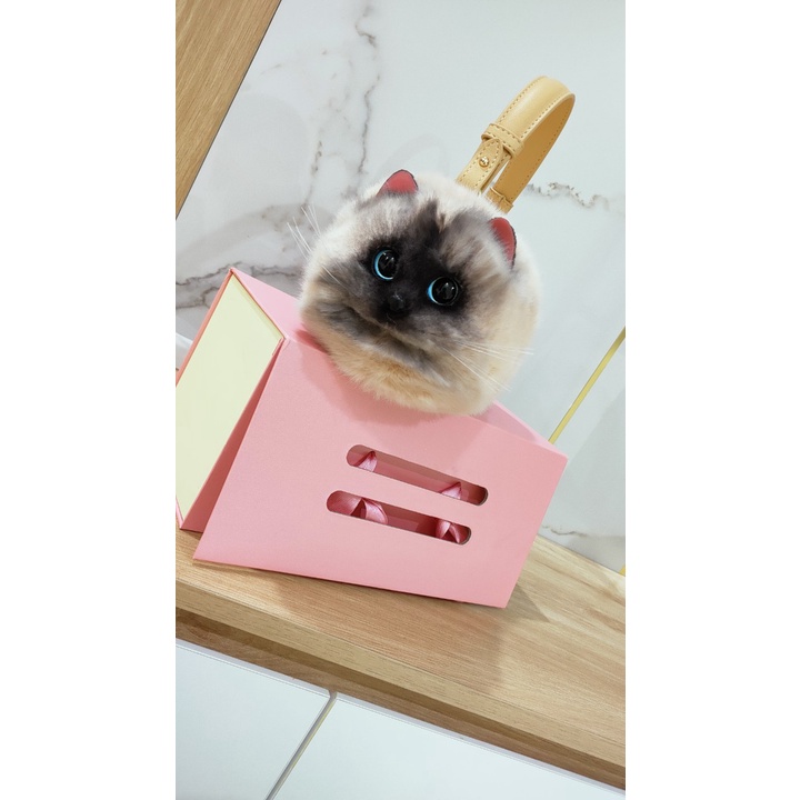 Túi hình con mèo thời trang siêu cute /Túi xách nữ đẹp mini hình con mèo