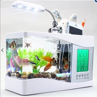 Bể cá mini kiêm đồng hồ để bàn siêu dễ thương màu ngẫu nhiên