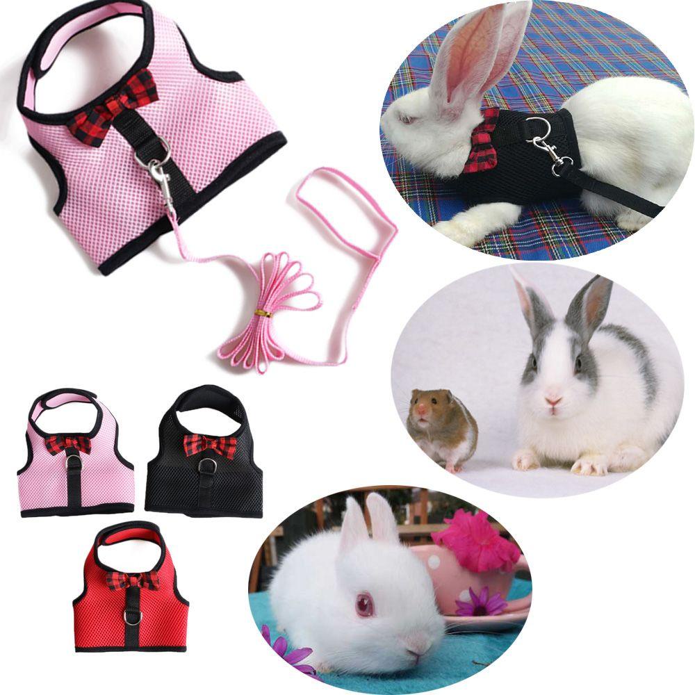 Áo Lưới Thỏ PISTA Có Dây Dắt