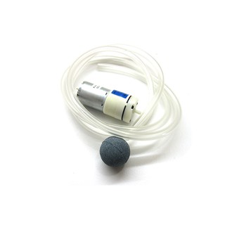 Bơm Sục Bể Cá Mini
