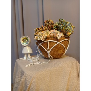 CHẬU TREO XƠ DỪA - KIỂU HOA ĐÀO - SIZE NHỎ 18 CM/ SIZE LỚN 30 CM