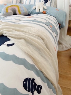 Chăn ga gối cotton poly - set 4 món