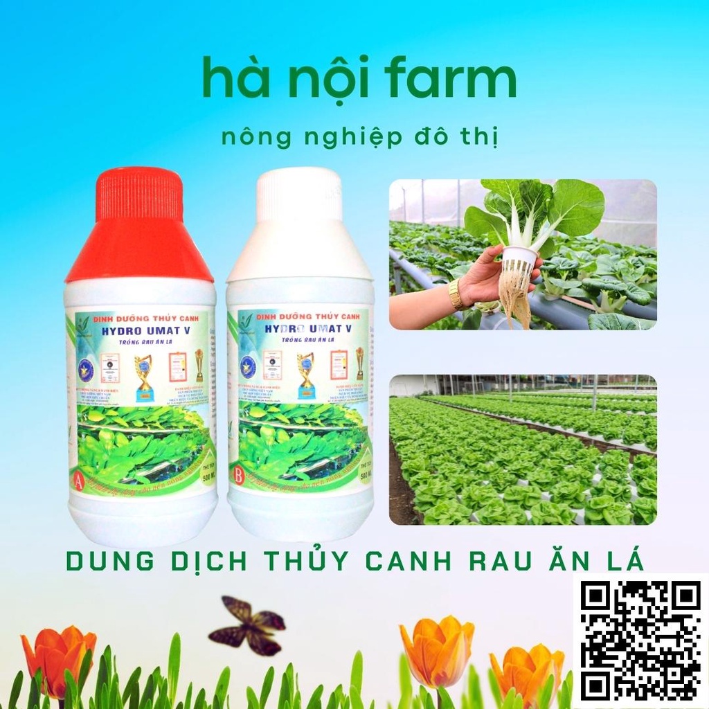 cặp thuỷ canh hydro-umat v, dinh dưỡng thuỷ canh trồng rau ăn lá
