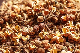 Hạt mắc kén