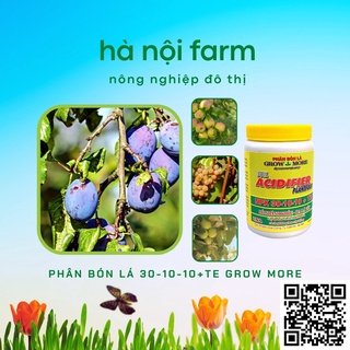 Phân Bón Lá Growmore 30-10-10+TE (Grow More 100g)