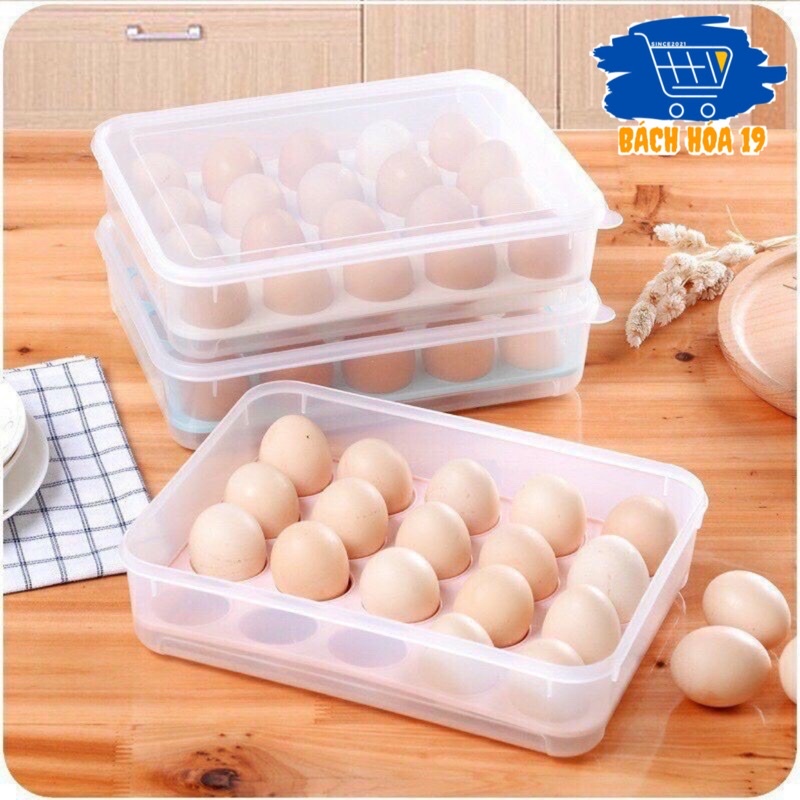 Khay hộp nhựa cao cấp đựng trứng 24 quả