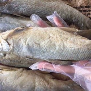 KHÔ CÁ MẶN [ FREE SHIP ] khô cá chét mặn làm cơm chiên hoặc chưng thịt