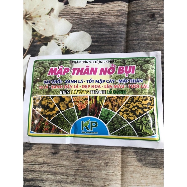 Mập thân nở bụi