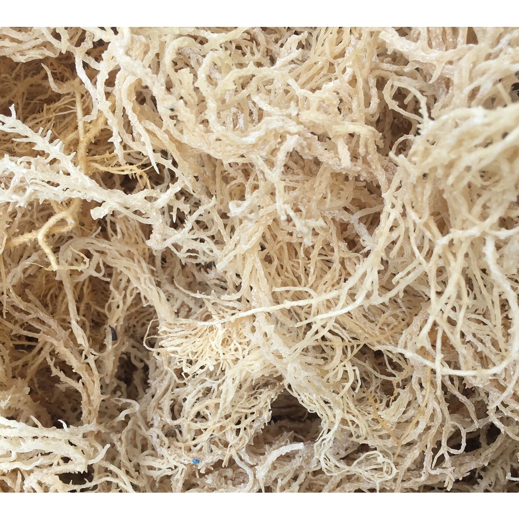 Rong Sụn Gai Khô 500 Gram