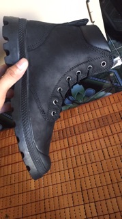 Palladium real new mẫu mới.