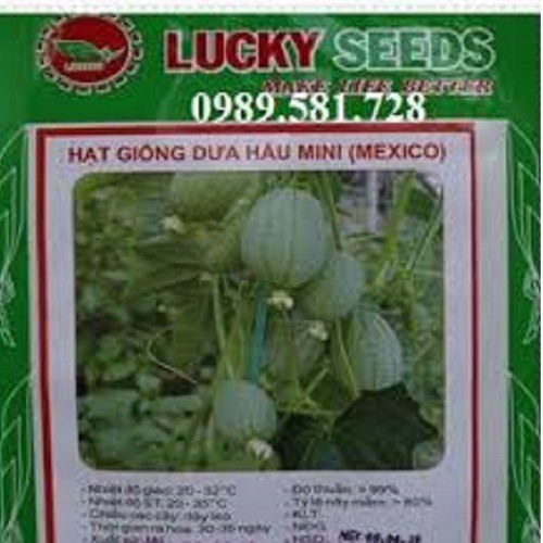 Hạt Giống Dưa Hấu Mini LUCKY SEED - Mỗi Túi 10 Hạt.