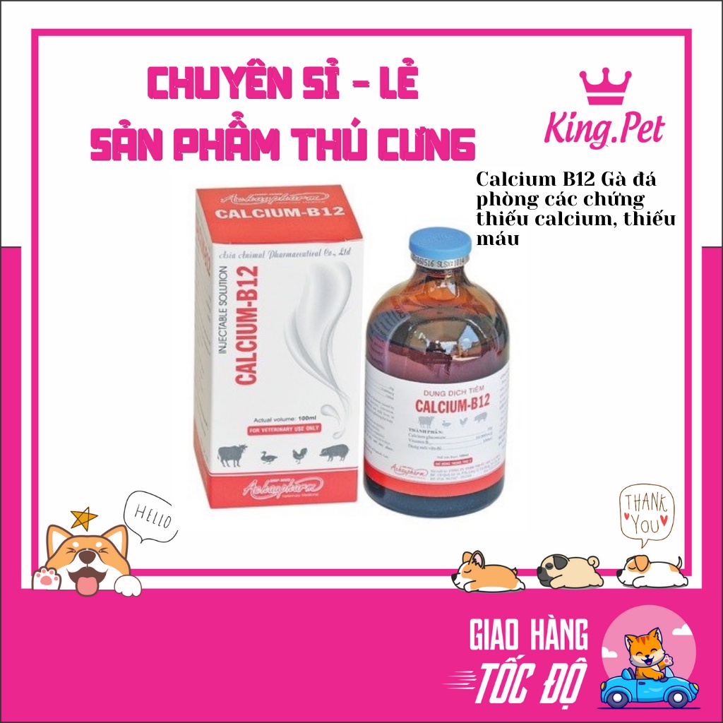 Calcium B12 Gà đá phòng các chứng thiếu calcium, thiếu máu