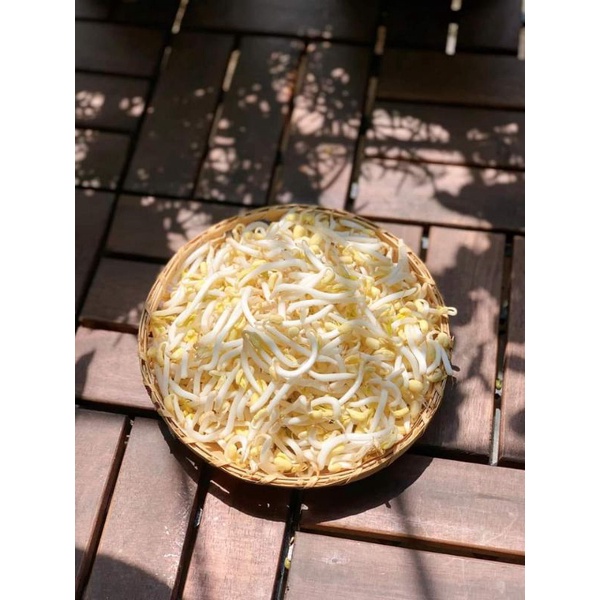 Đỗ xanh đậu xanh làm giá, làm bánh, nấu chè các loại (hút chân không) 500g