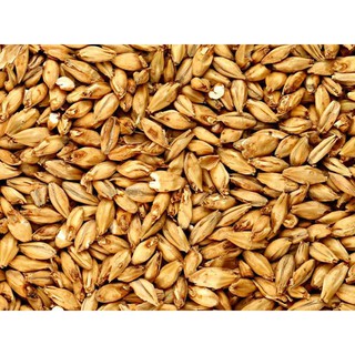 lúa đại mạch  1kg