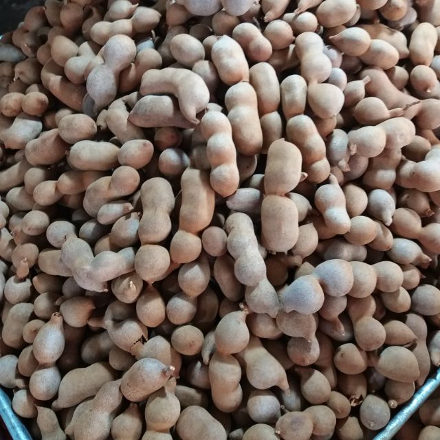 Me Thái sấy loại ngọt 2kg