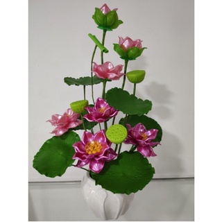 Chậu hoa sen 7 bông cao 53cm