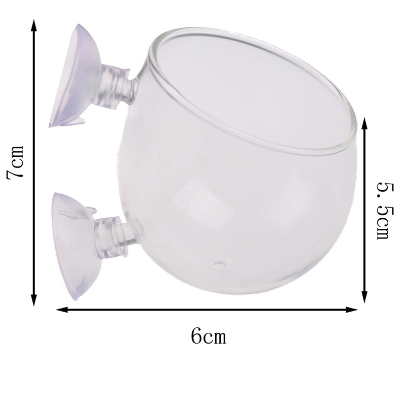 Cốc Thủy Tinh Mini Dùng Để Trồng Cây Thủy Sinh Trong Bể Cá