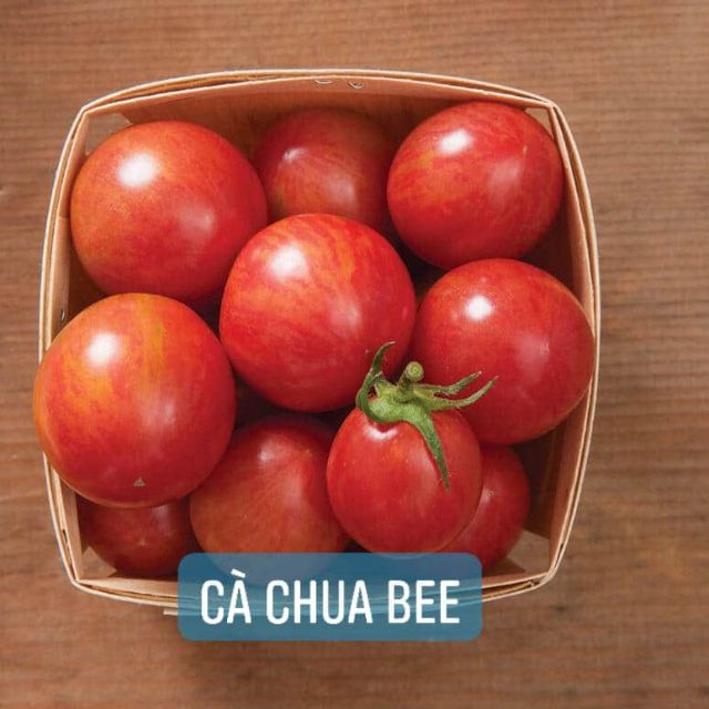 Hạt giống cà chua Cherry Bee giôang hữu cơ Jonny Seeds dễ trồng sai quả thumbnail