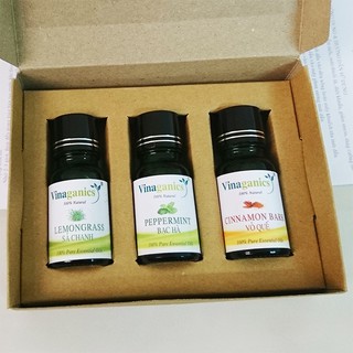 Combo 3 chai tinh dầu sả chanh, bạc hà, quế 10ml