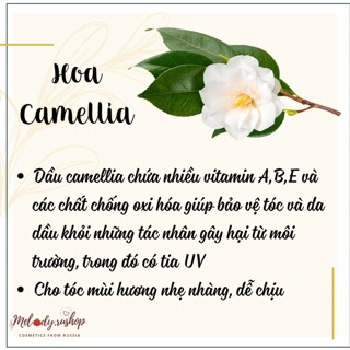 🌸 Dầu dưỡng tóc Garnier Fructis & Botanic Therapy