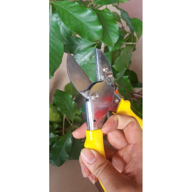 Kéo cắt cành kéo cắt lực sỹ Kéo cắt cành cây LANLONG
