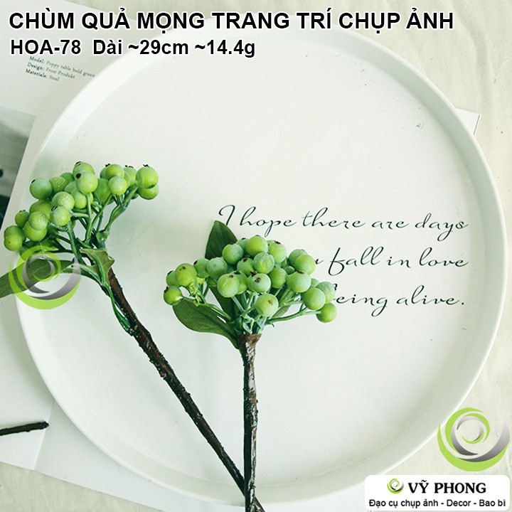 CHÙM QUẢ MỌNG TRANG TRÍ ĐÁM CƯỚI ĐẠO CỤ CHỤP ẢNH SẢN PHẨM INS HOA-78