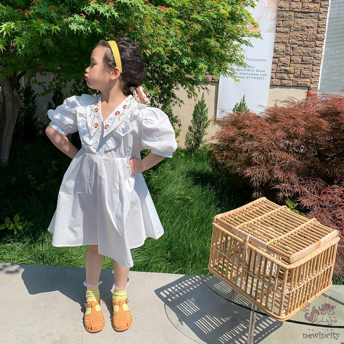 Đầm Tay Phồng Thêu Hoa Đáng Yêu Dành Cho Bé Gái