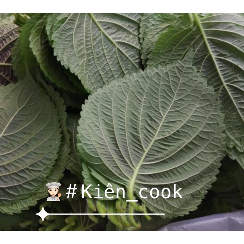 Lá mè Hàn Quốc 8k/25g