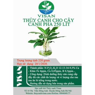 DINH DƯỠNG THỦY CANH CÂY CẢNH PHA250 lít