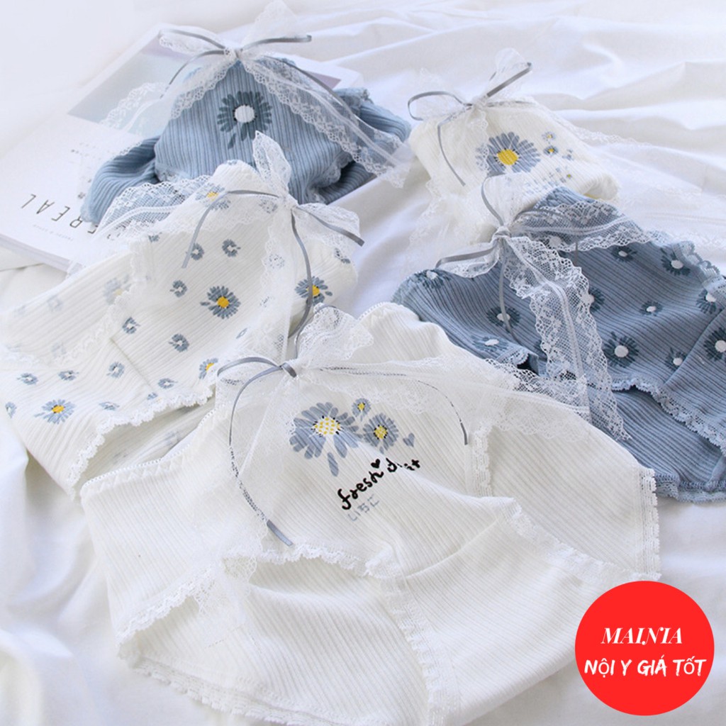 [Có M, Bigsize] Quần Lót Nữ Cotton 5 Kiểu Dễ Thương Họa Tiết Hoa Cúc Quần Chíp Nữ Cotton Cao Cấp Loại 1 Mainia Shop