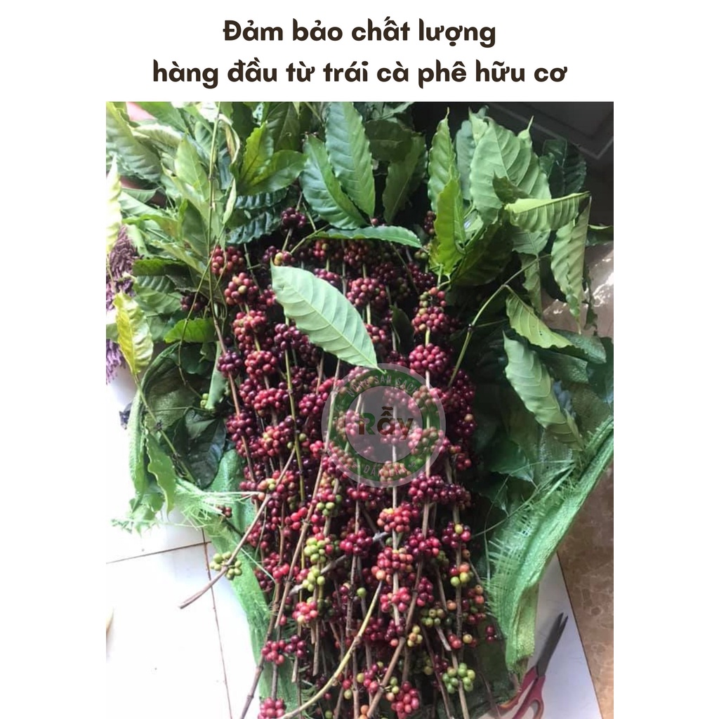 [500gram] Cà phê Robusta Rẫy cao cấp từ hạt cafe chín 100%, đặc sản chế biến ướt, hậu vị ngọt | BigBuy360 - bigbuy360.vn