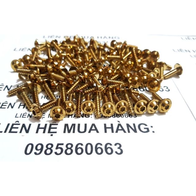 Ốc Vàng 5ly răng Xoắn 17mm lắp dàn áo Xe Exciter