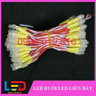 Led liền dây 12V (Led ruồi 12V) 100 bóng 1 bó