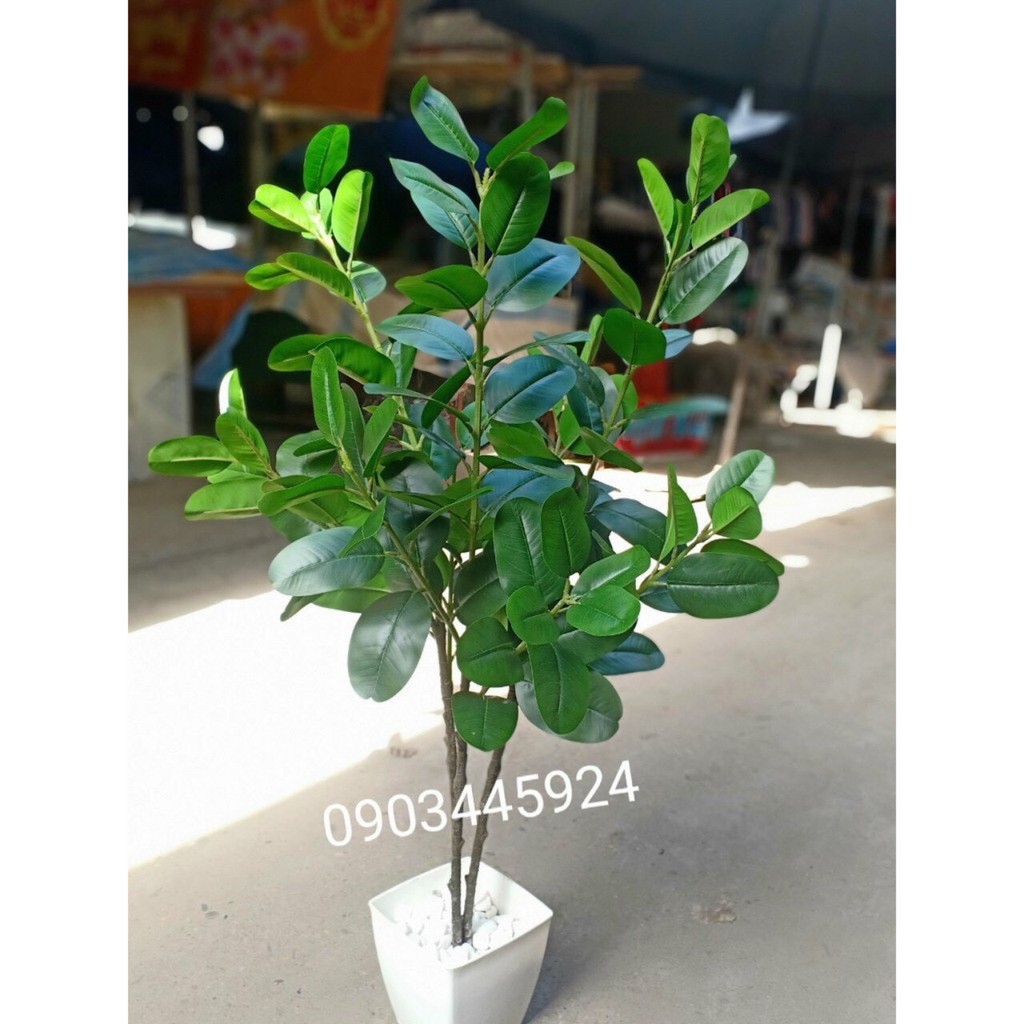 Cây giả - Cây kim tiền, cây phát lộc, cây hạnh phúc 1m kèm chậu,decor siêu đẹp