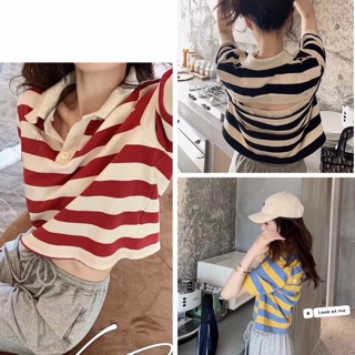 Áo len mongtoghi cổ đức khuy lưng
