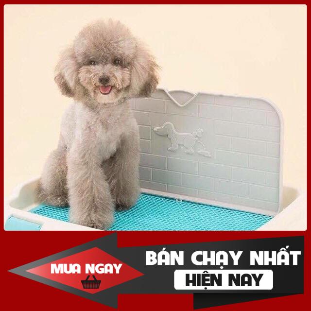 KHAY VỆ SINH CAO CẤP CÒ THÀNH VÀ CỘT CHO THÚ CƯNG