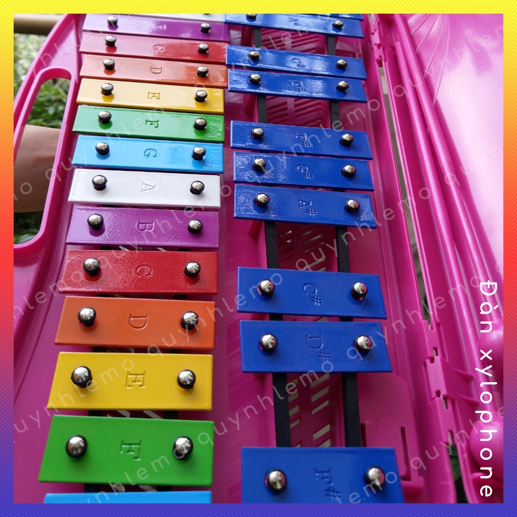 Đàn gõ 25 phím Xylophone QUYNH LEMO cho bé phát triển năng khiếu âm nhạc đầy đủ màu sắc