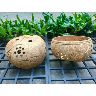 Chậu gáo dừa có hoa văn